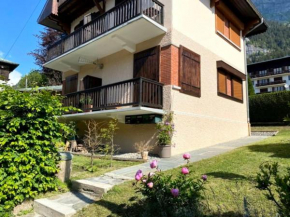 Fizhome Mt Blanc Passy